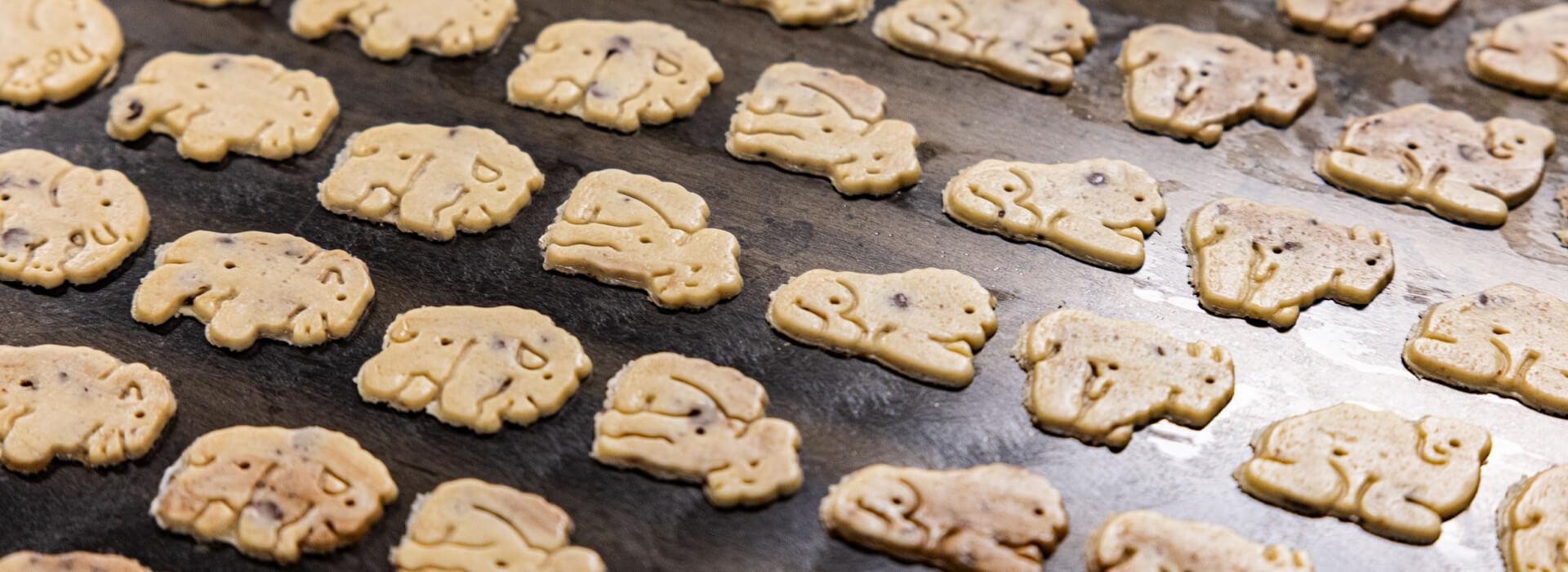 baking animal cookies