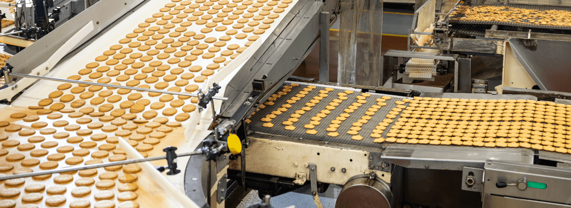 Commercial Bakeries production line